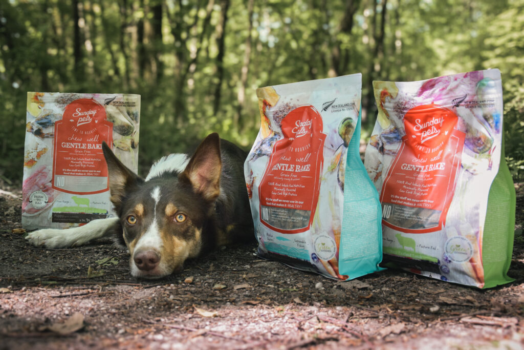 Sunday pets recenze Dvořáková