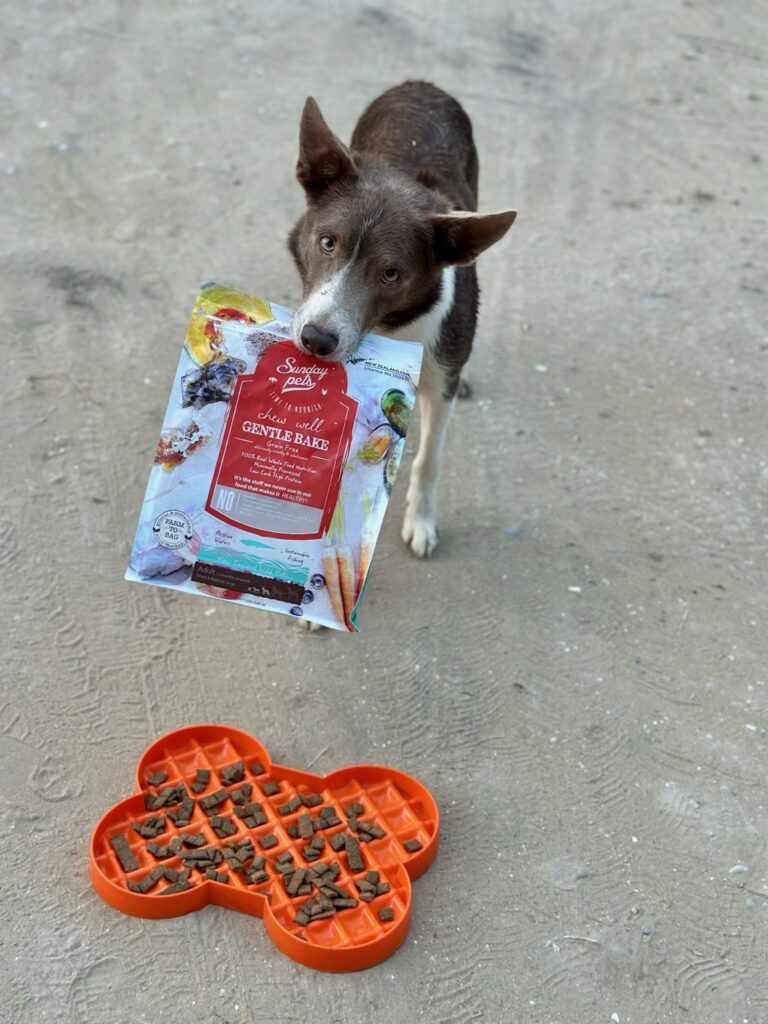 Sunday pets recenze Obetková